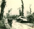 /album/panther/a18-jpg1/